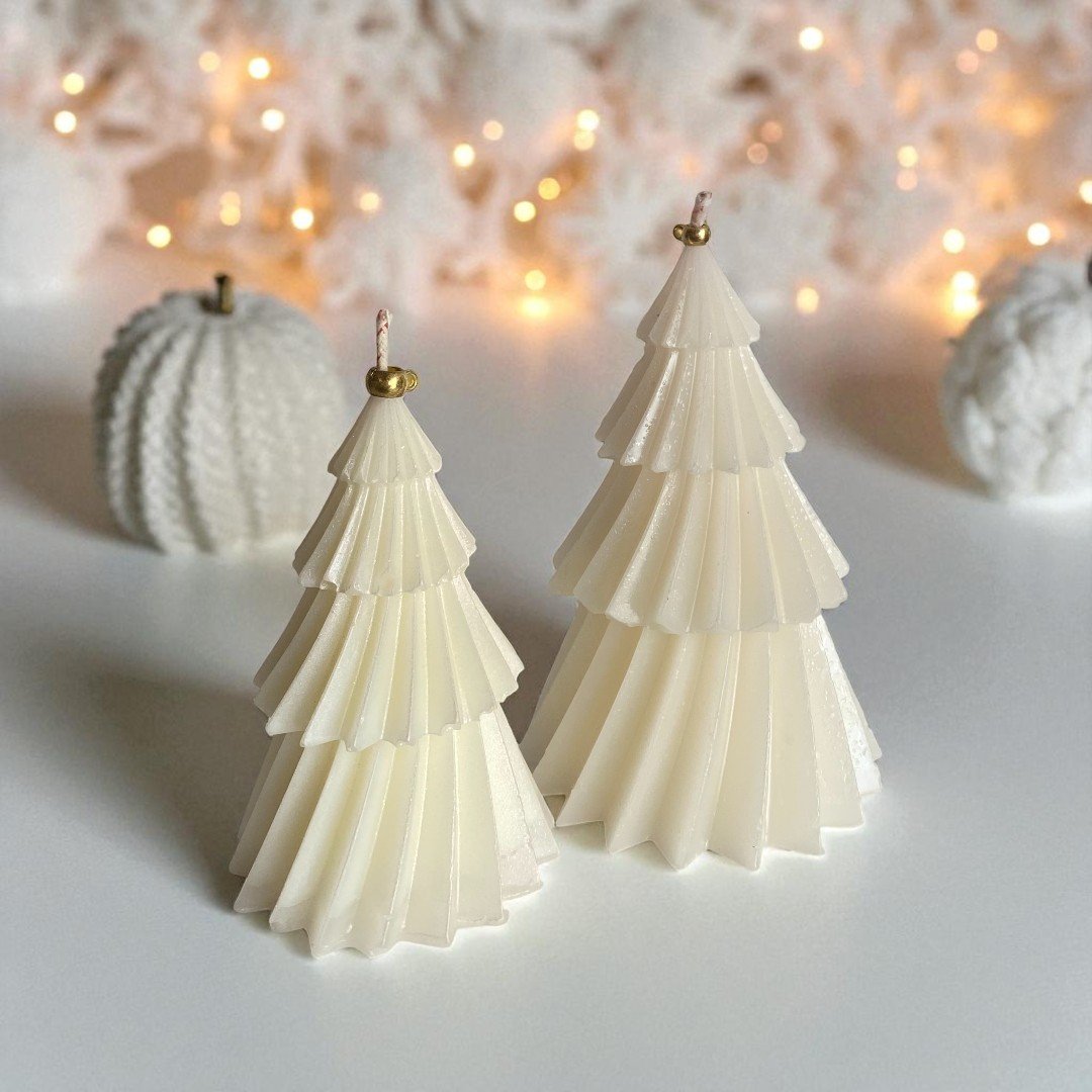 duo pino chic-Photoroom (1)