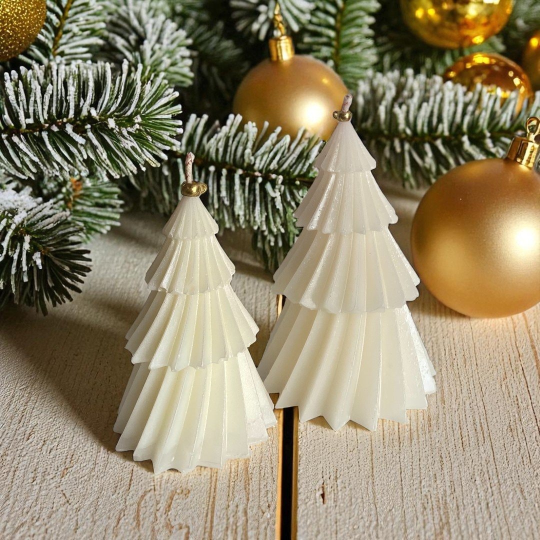 duo pino chic-Photoroom (2)