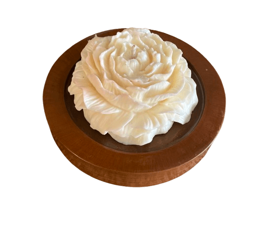 IMG_7020-removebg-preview