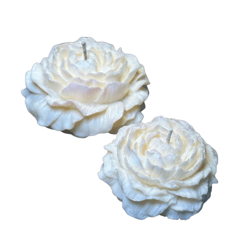 IMG_7433-removebg-preview