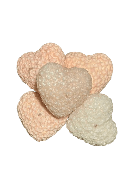 IMG_7458-removebg-preview