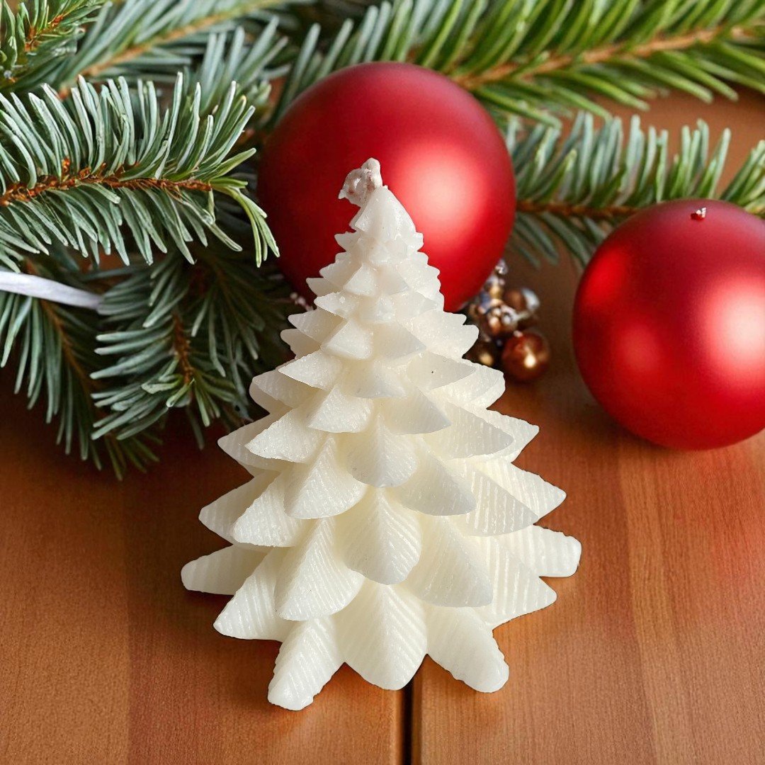 pino blanco-Photoroom (2)