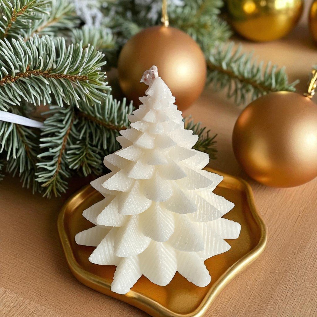 pino blanco-Photoroom (3)