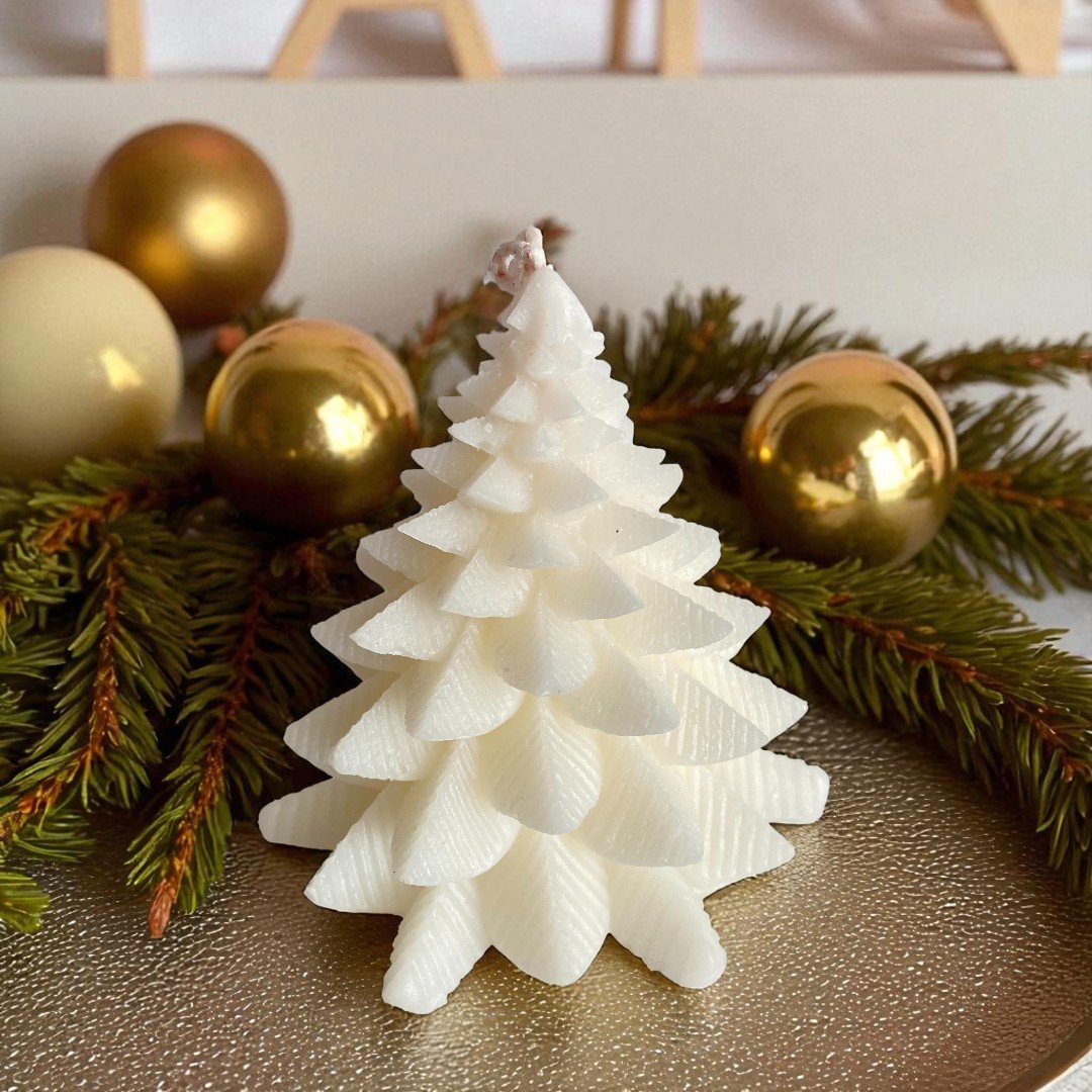 pino blanco-Photoroom (4)