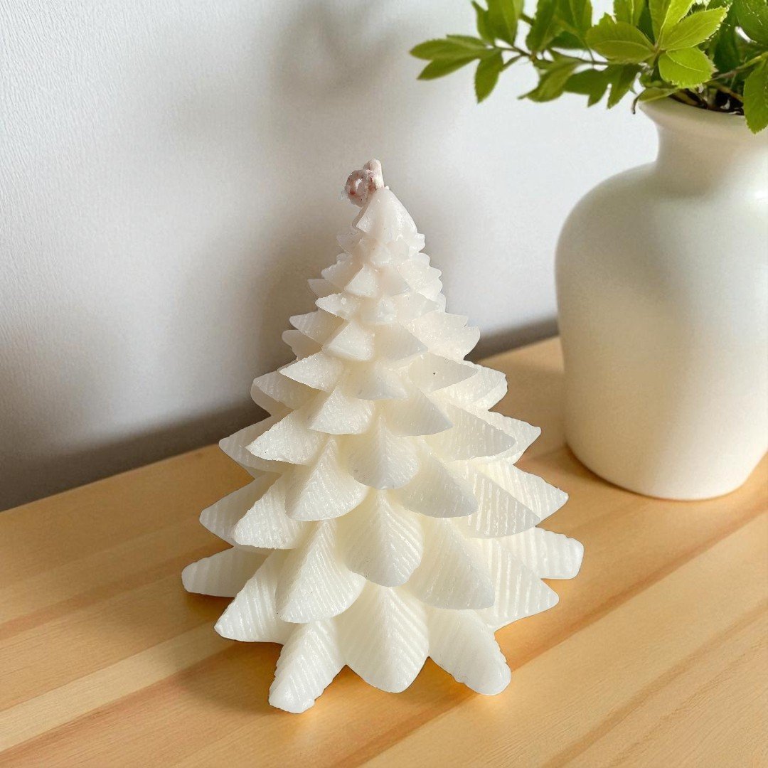 transparent-Photoroom (1)